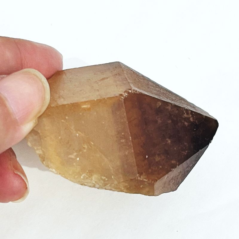 ドリームコート・レムリアン・ポイント（大きめ）3