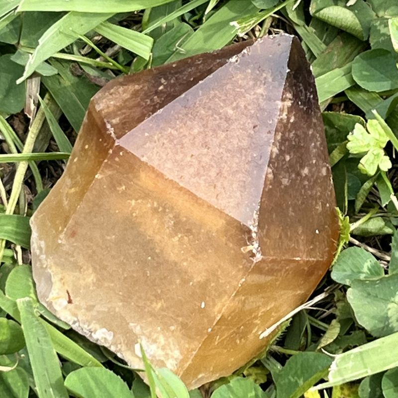 ドリームコート・レムリアン・ポイント（大きめ）3