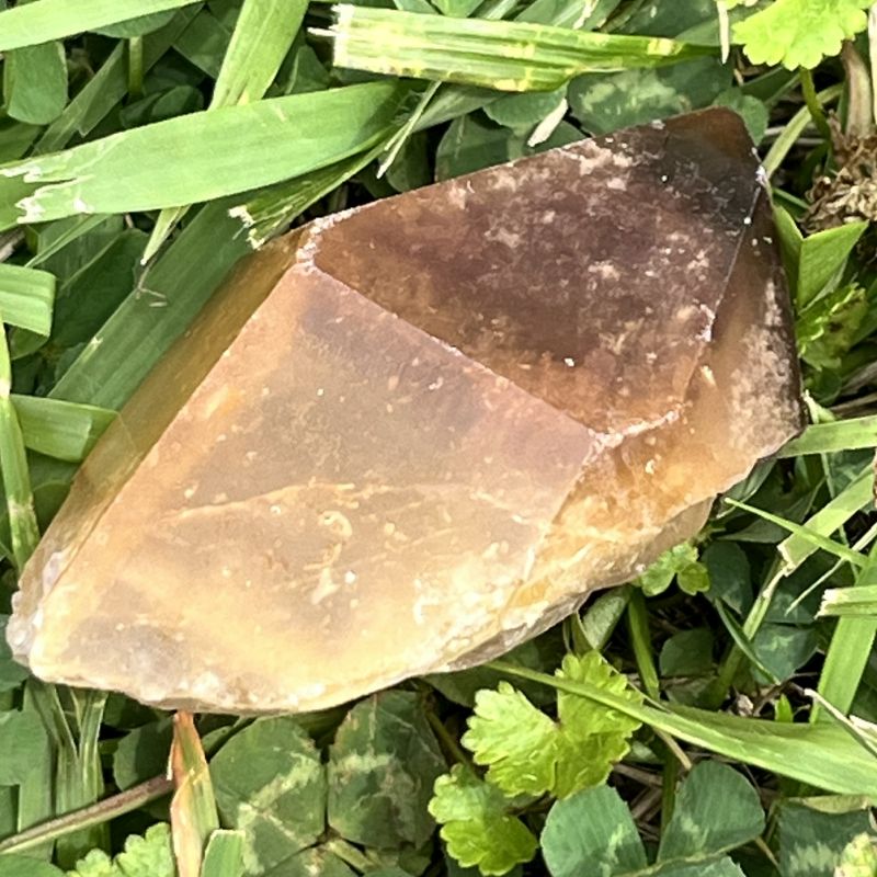 ドリームコート・レムリアン・ポイント（大きめ）3