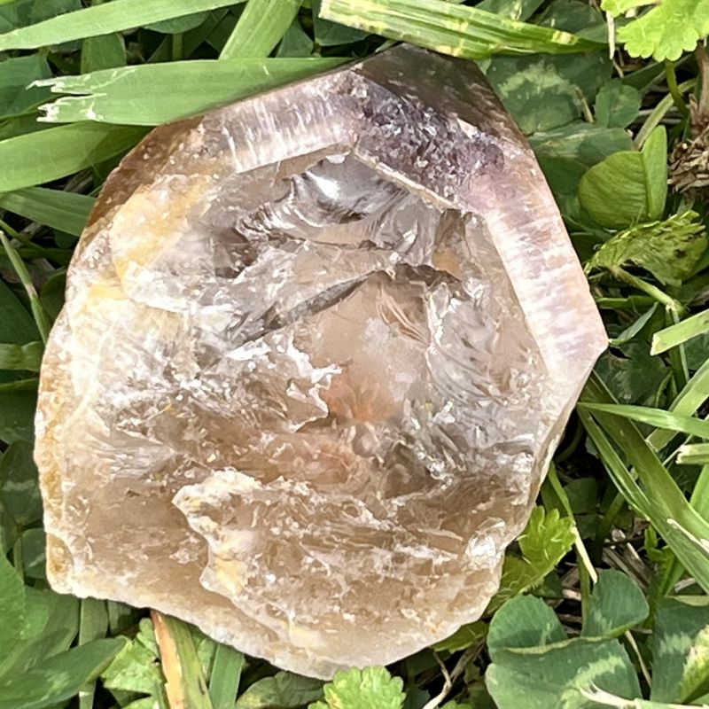 ドリームコート・レムリアン・ポイント（大きめ）3