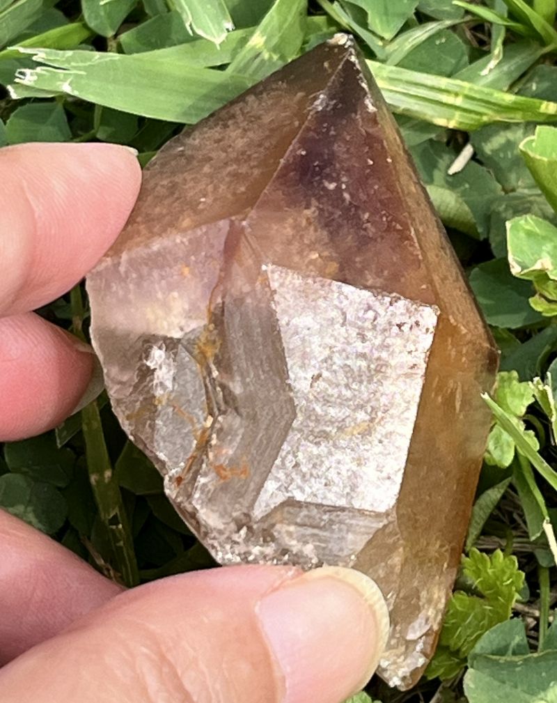 ドリームコート・レムリアン・ポイント（大きめ）3