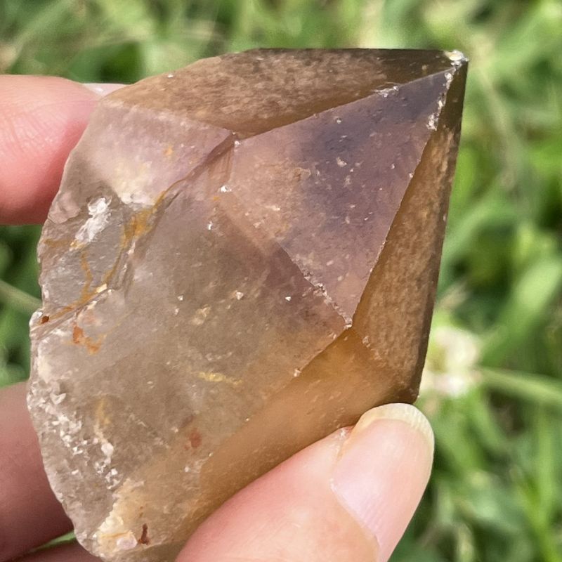 ドリームコート・レムリアン・ポイント（大きめ）3