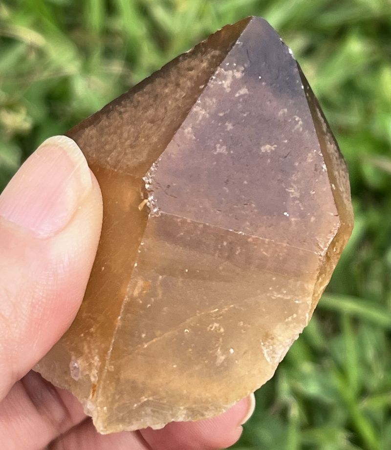 ドリームコート・レムリアン・ポイント（大きめ）3