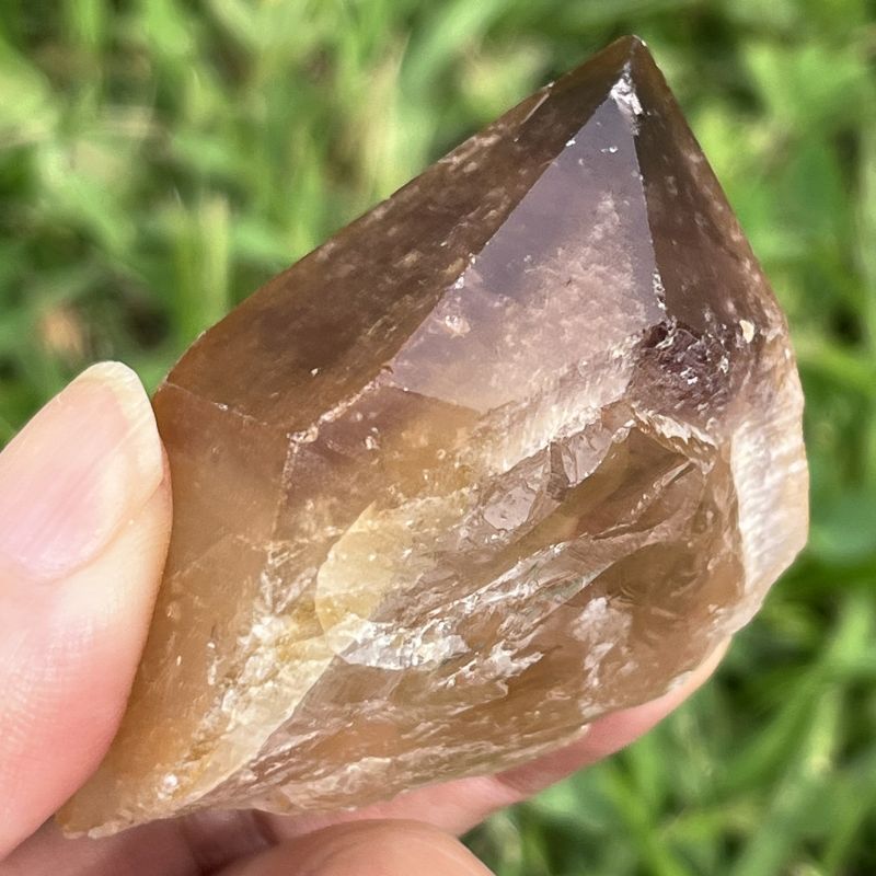 ドリームコート・レムリアン・ポイント（大きめ）3