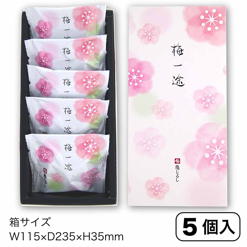 新銘菓【水戸産梅ふくゆい使用】梅一途(5個入)