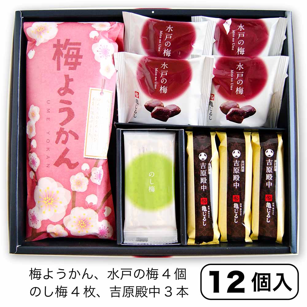 送料込み【水戸銘菓撰MT4】水戸の梅・のし梅・吉原殿中・梅ようかん