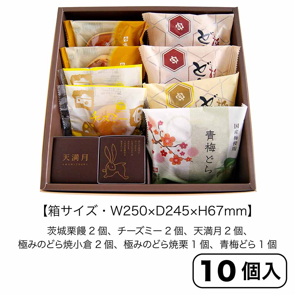おすすめ商品詰合せ【亀菓撰②（10個入）紙袋付】