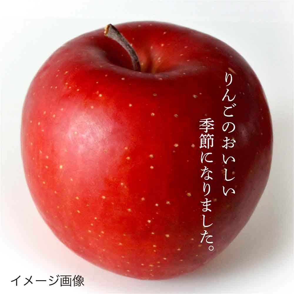 【秋限定】 りんごどら焼き（5個入）