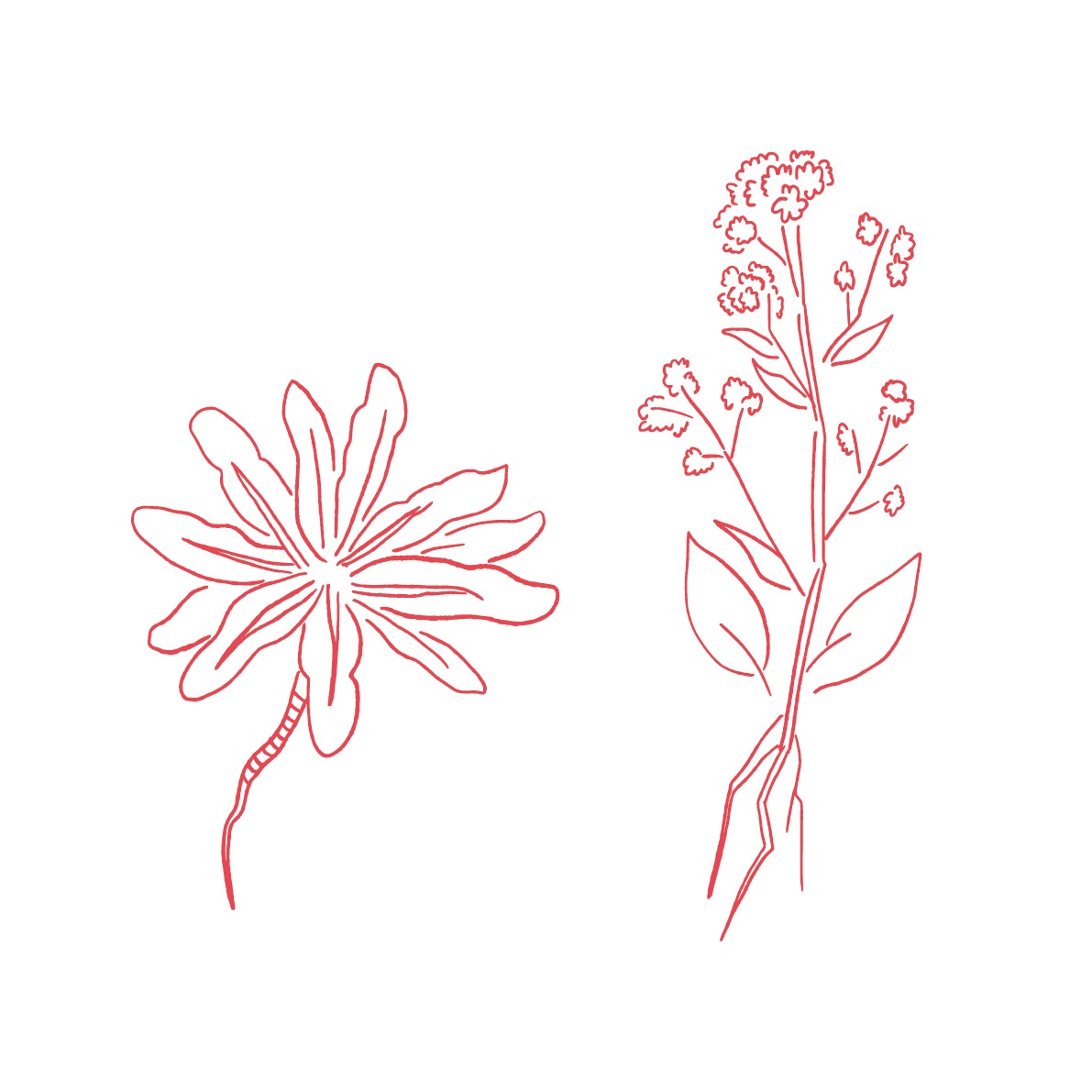 [���������͸���] ����ߥĤ��������� (15γ)