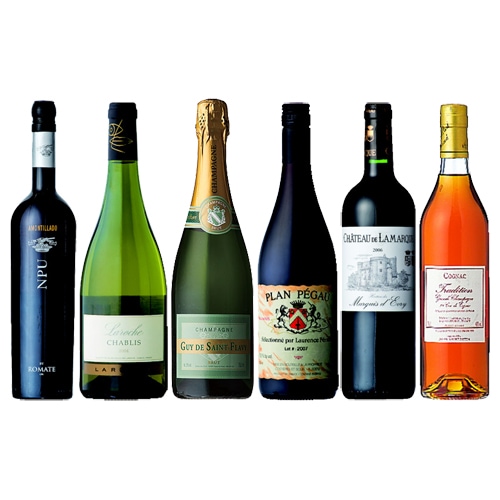 ワインセット】シュチュエーションに合わせて6本セット [G706]終売(98
