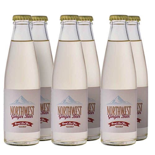 �Ρ����������� ���󥸥㡼�ӥ� �ӡ�200ml��6�� [78962]����(0-0)