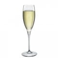 プレミアムモデル シャンパン：250ml×6個セット [ZZ015-105-36]取寄(92-0)|業務用備品（グラスなど）