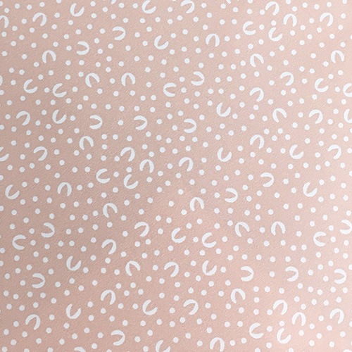 ���եȥ�åԥ󥰡��ʤǤ���(����)