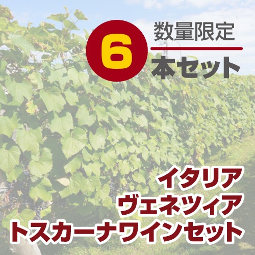 �ڥ磻�󥻥åȡۥ����ꥢ �����ͥĥ��� �ȥ������ʥ磻�� 6�ܥ��å� [G721]����(98-0)