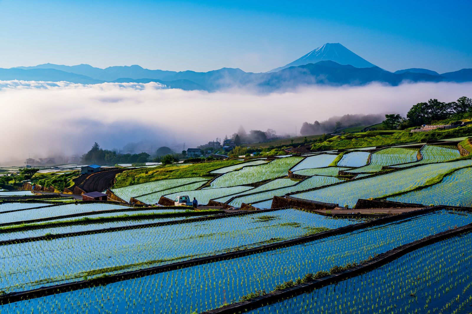 牧野酒造　清酒 富士山湧水の小径 720ml