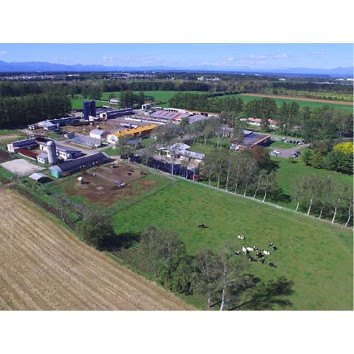 �ֽ����� ��������35 720ml