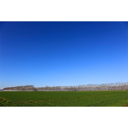 �ֽ����� ��������35 720ml