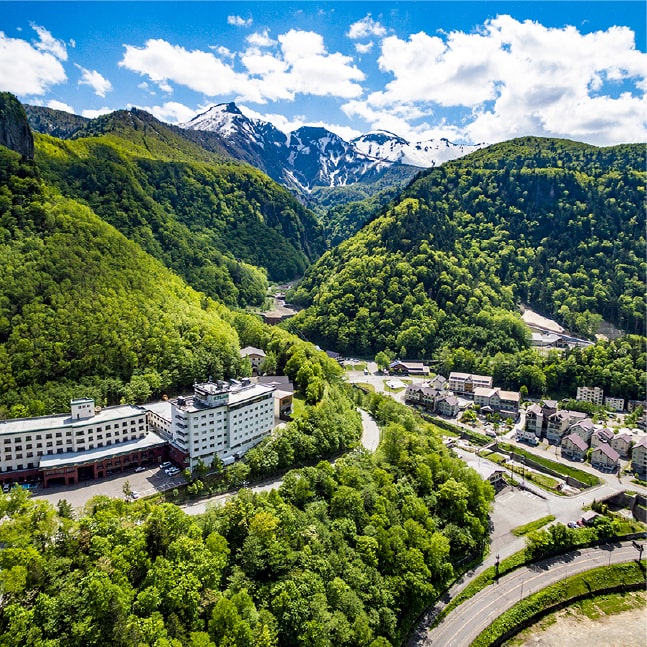 ־ ̽ơƶ 720ml 3ܥå