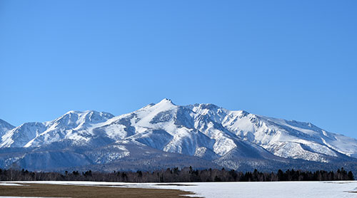 ־ ̽ơƶ 720ml 3ܥå