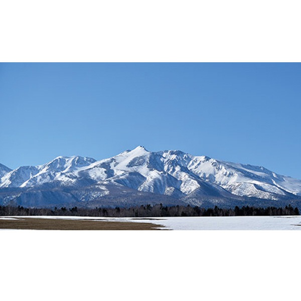 R6BY No.46�־��������SHIRO ���̻����� ̵�ɲ����� 720ml