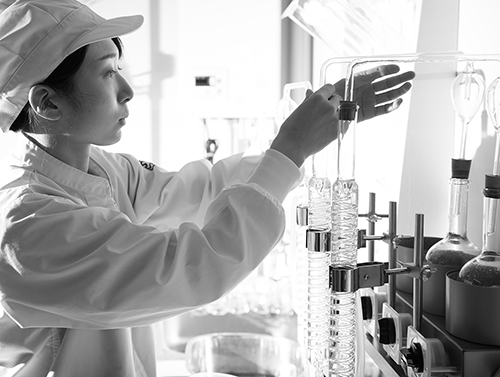 �ֽ����׽��ơ����ƶ��720ml 2�ܥ��å�