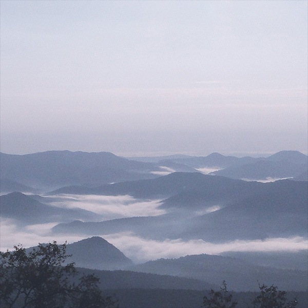 Niptay No.1 100% �������˥å����ܼ�