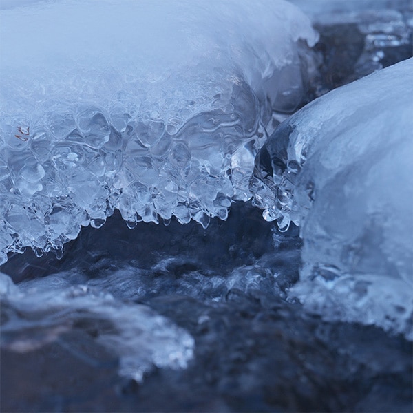 Niptay No.1 100% �������˥å����ܼ�