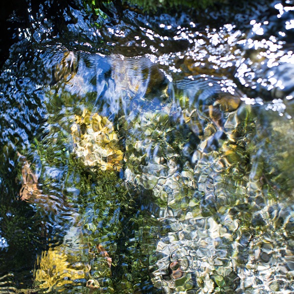 �־��������100%�������˥å� ���̻� ���� 720ml