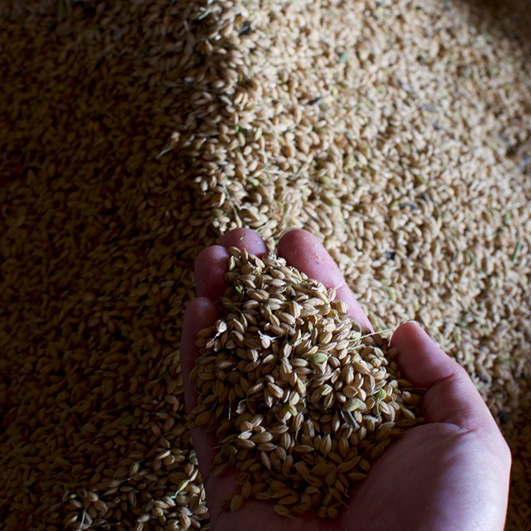 �־��������100%�������˥å� ���̻� ���� 720ml