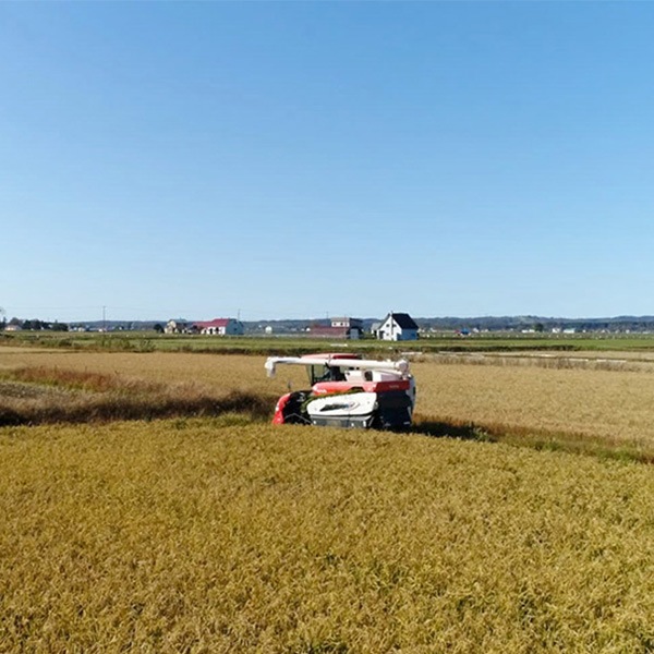 �־��������100%�������˥å� ���̻� ���� 720ml