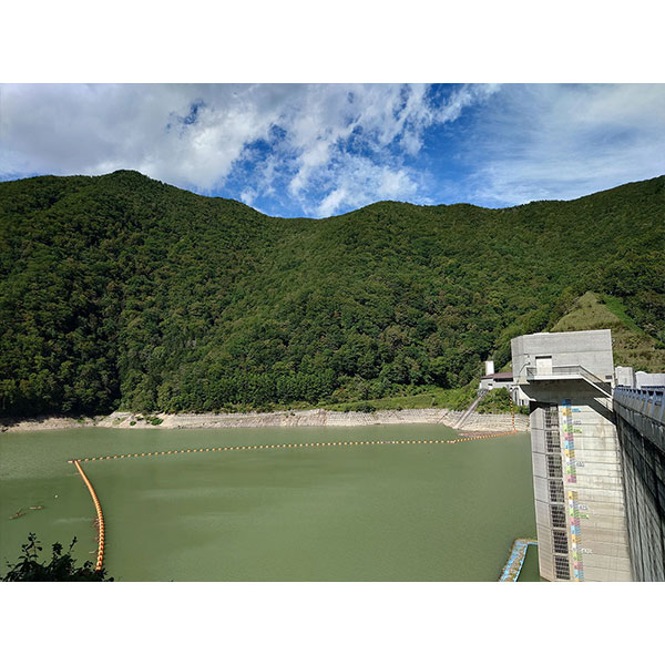 ǯ¢ή¢ 720ml ܥå