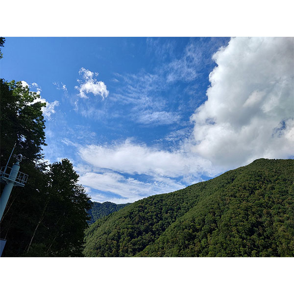 ǯ¢ή¢ 720ml ܥå