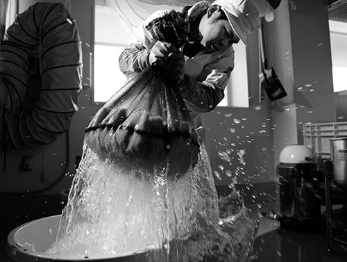 �ֽ��������̽��� �ɸ����餷�ܤ� ̵�ɲ����� 720ml