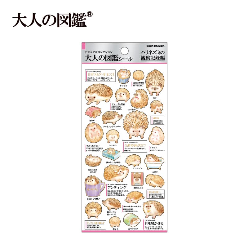 大人の図鑑シール/ハリネズミの観察記録