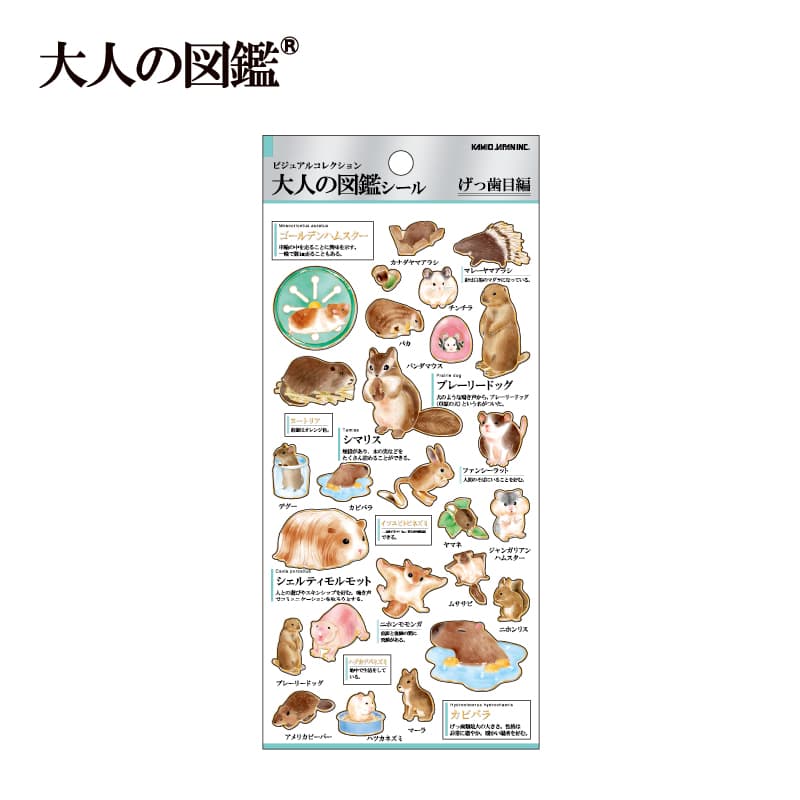 プラスマート・大人の図鑑,大人の図鑑 | KAMIOJAPAN SHOP