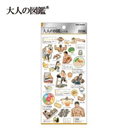 7月28日以降発送】大人の図鑑シール/筋肉【購入制限4点まで】 | 商品