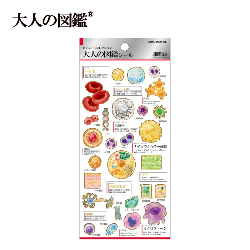 プラスマート・大人の図鑑,大人の図鑑 | KAMIOJAPAN SHOP
