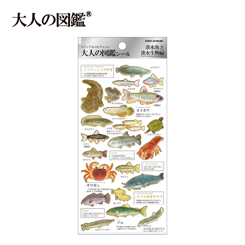 人気の図鑑18冊セット Amazon.com: Pokemon Mega Collection 18 Books Box Set (Word