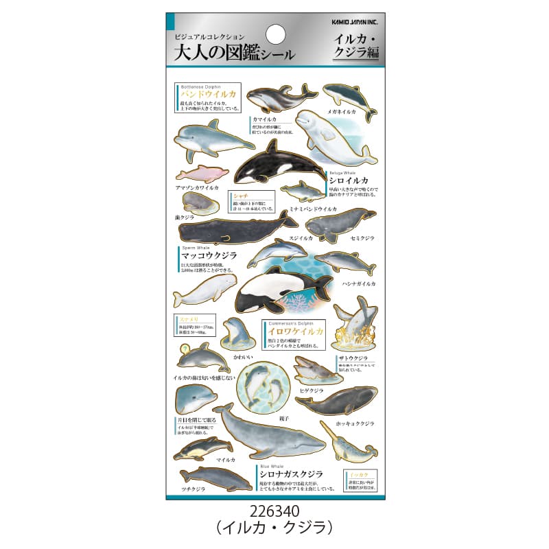 3819 外国切手 ガンビア 1996年 クジラ イルカ 4種+小型シート 世界のクジラ・イルカ百科図鑑 :アナリサ・ベルタ,山田 格,黒輪 篤嗣