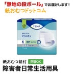 TENA ѥ ѡ ӥ 12 ѻ椪 ѥĥ