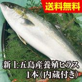 �������Į���ܿ��ҥ饹�ʥҥ�ޥ��ˡ�1����¡�ա�