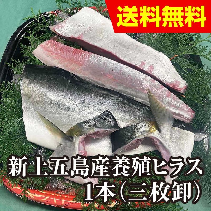 �������Į���ܿ��ҥ饹�ʥҥ�ޥ��ˡ�1�ܻ��粷��