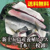 �������Į���ܿ��ҥ饹�ʥҥ�ޥ��ˡ�1�ܻ��粷��