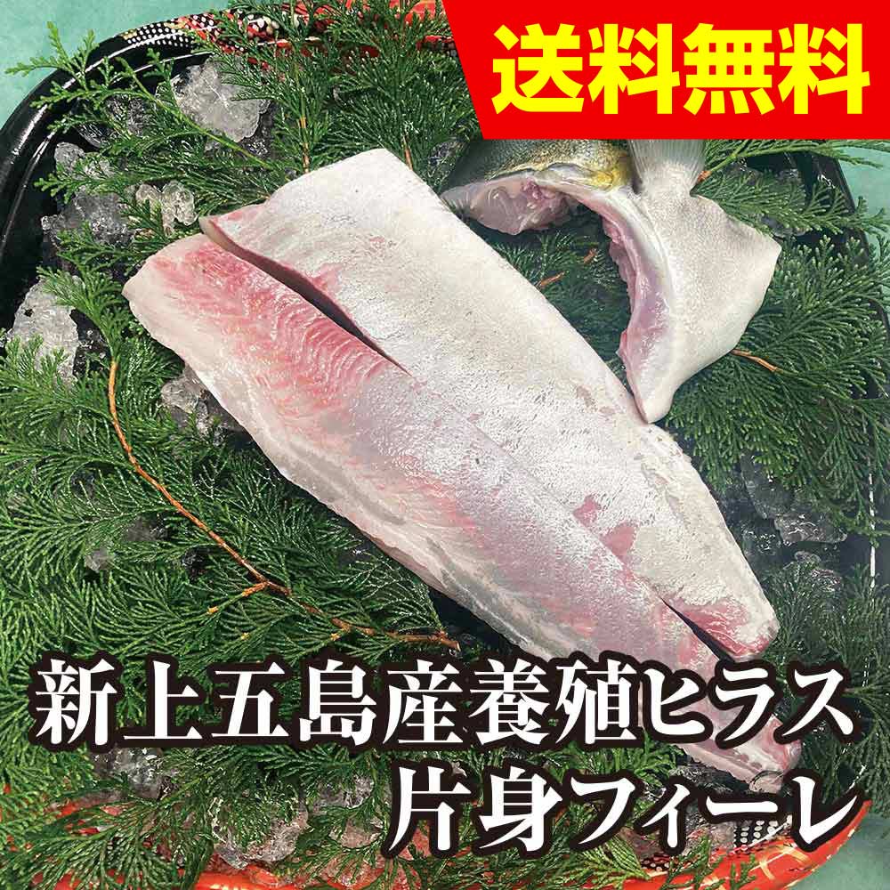 新上五島町産養殖ヒラス（ヒラマサ）［片身フィーレ］ | 魚介類