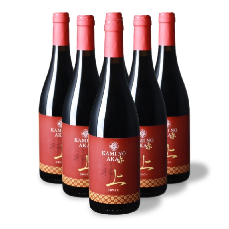 ι磻ʥ꡼֥磻־֡ 6