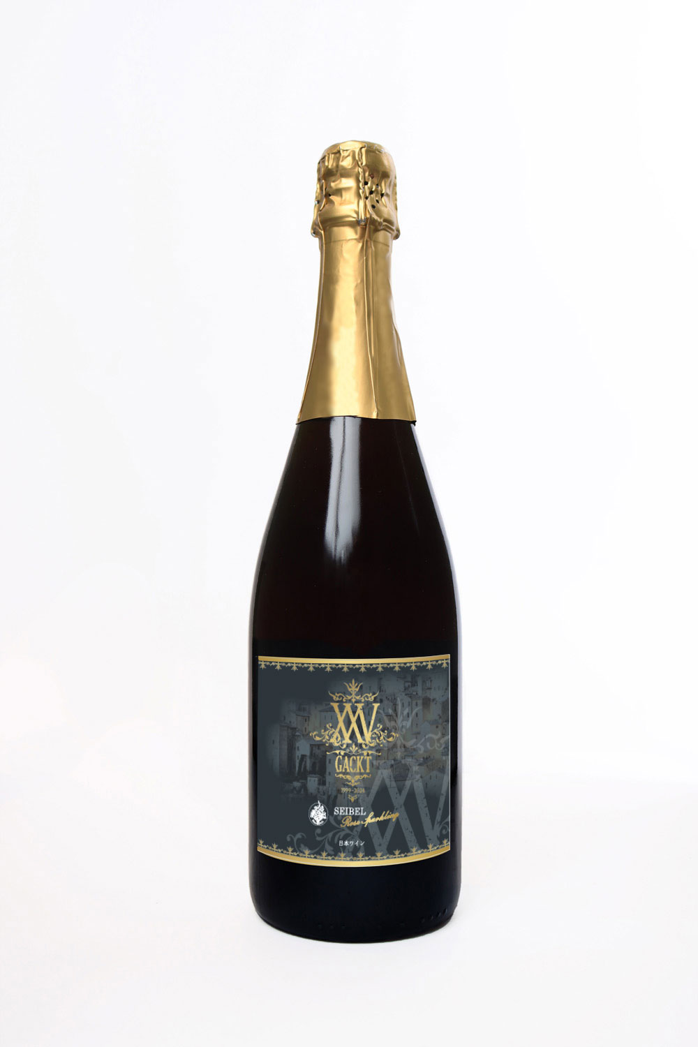 GACKTモデルのブーツ 25〜25.5㌢ GACKT」のレディース人気ファッション