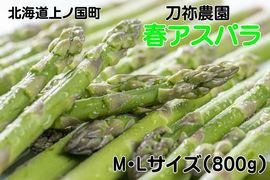 �̳�ƻ��ι�Į�� ī�Τ�����ȯ�� ��Ǫ����νե����ѥ顡M��L��800g��