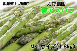 �̳�ƻ��ι�Į�� ī�Τ�����ȯ�� ��Ǫ����νե����ѥ顡M��L��1.8�ԡ�