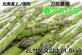 �̳�ƻ��ι�Į�� ī�Τ�����ȯ�� ��Ǫ����νե����ѥ顡2L�ʾ��1.8�ԡ�