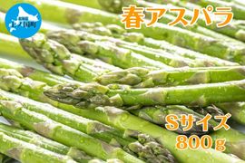 �̳�ƻ��ι�Į�� ��ʡ�ڱ��ī�Τ�ե����ѥ顡S��800���